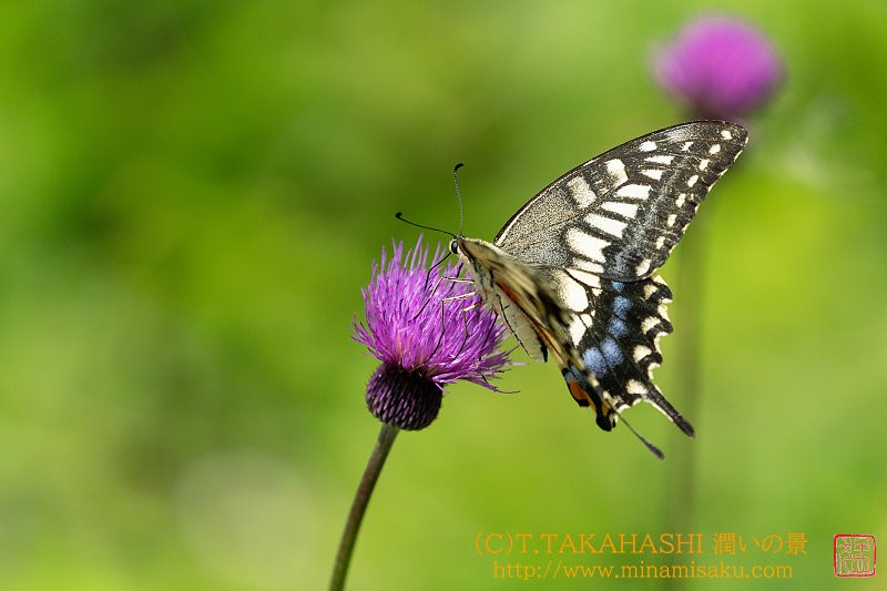 ../Images/7R24.07 26 (159).jpg